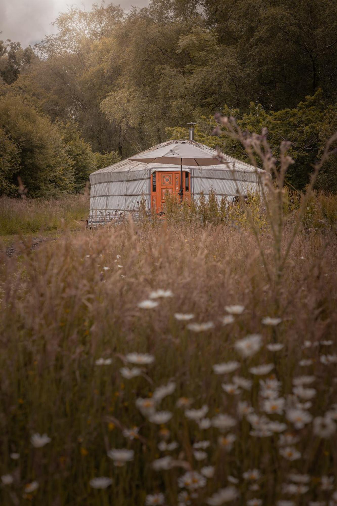 ホテル Gilfach Gower Farm Luxury Yurt With Hot Tub アンマンフォード エクステリア 写真